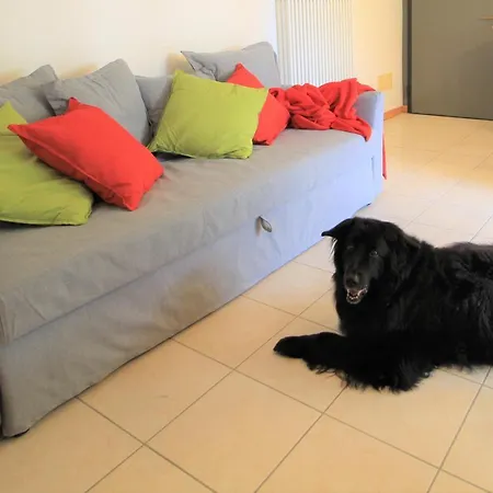 Apartment Ibex Bad Kleinkirchheim